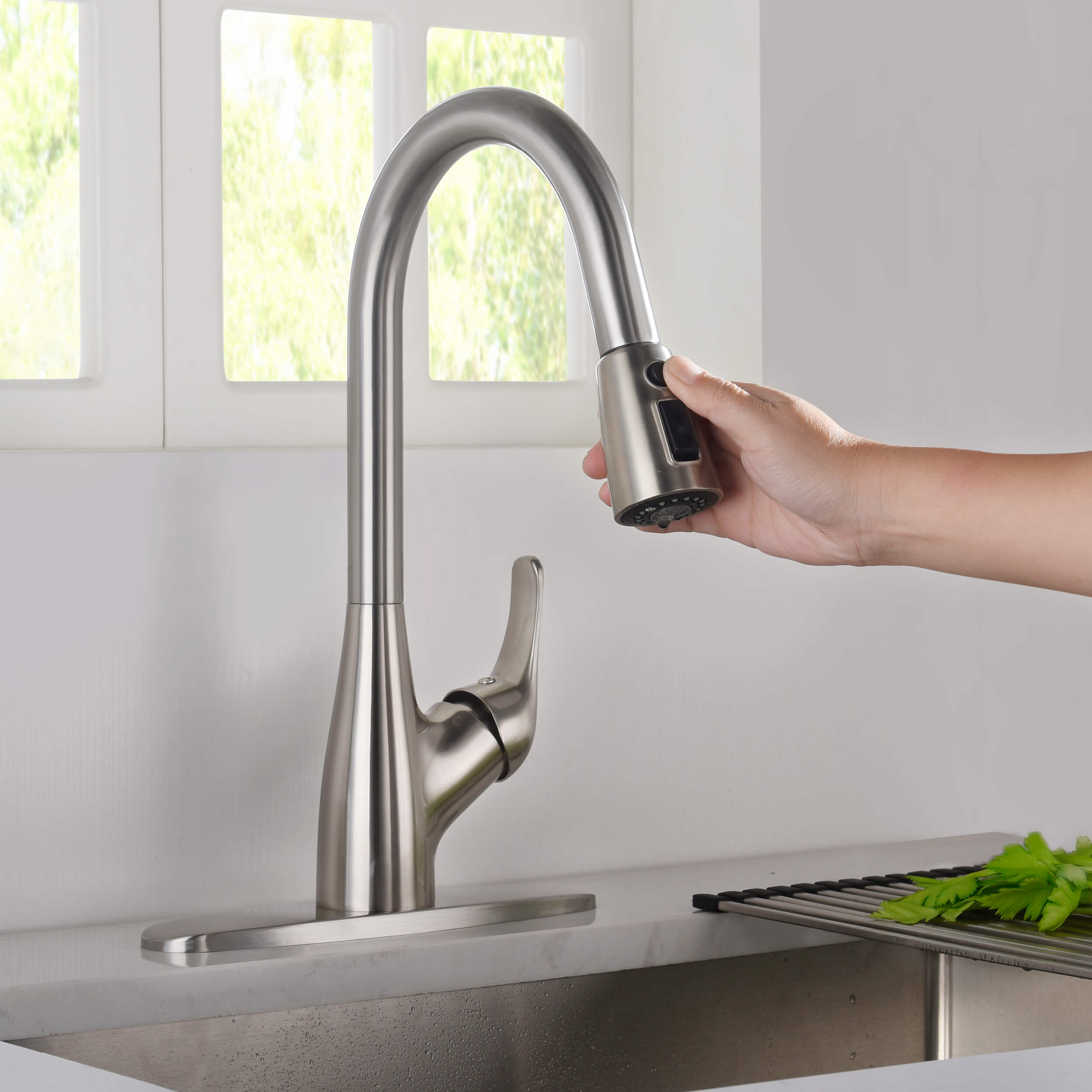 Single Handle Pull Down Kitchen Faucet - F101