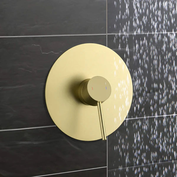 Circular Single Function Rough-in Valve Trim Plate - SVT1-1