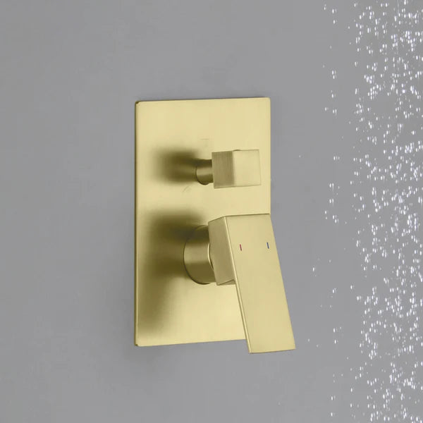 Cube 2 Function Rough-in Valve Trim Plate - SVT2-2