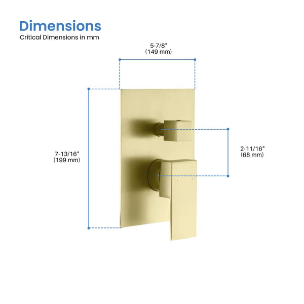 Cube 2 Function Rough-in Valve Trim Plate - SVT2-2