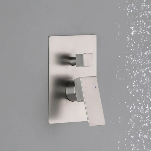 Cube 2 Function Rough-in Valve Trim Plate - SVT2-2