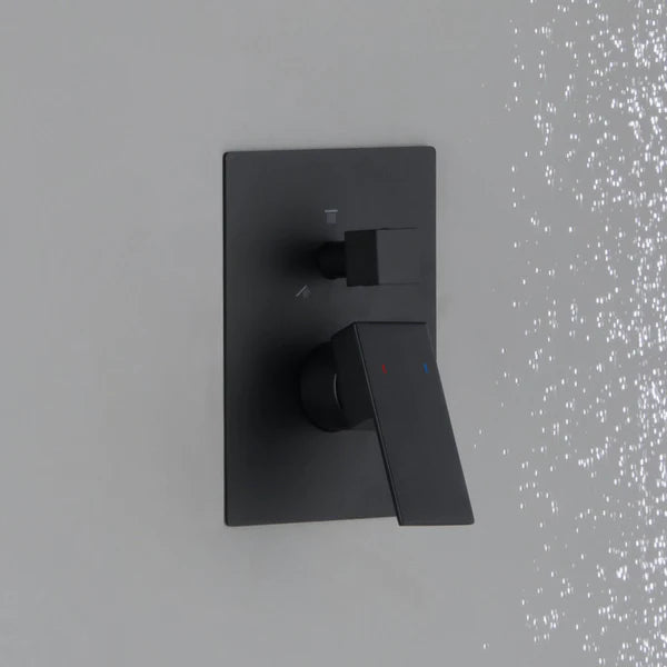 Cube 2 Function Rough-in Valve Trim Plate - SVT2-2