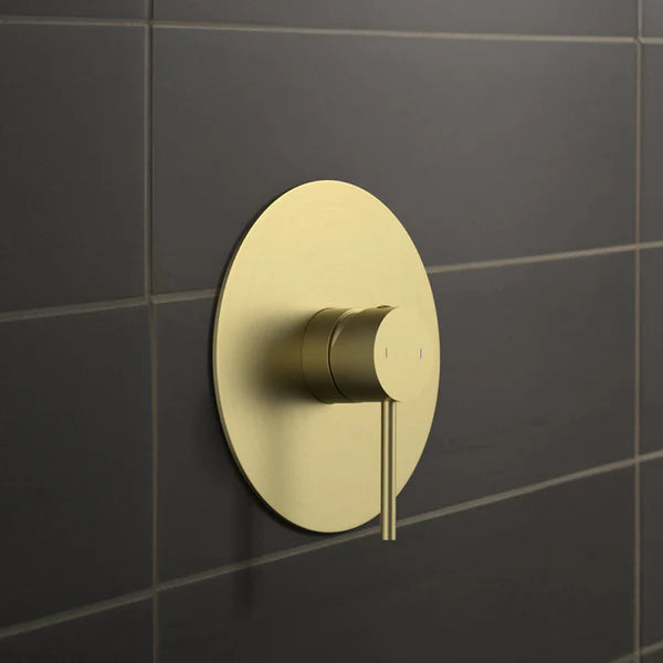 Circular Single Function Rough-in Valve Trim Plate - SVT1-1