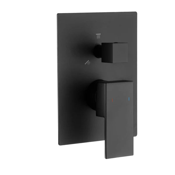 Cube 2 Function Rough-in Valve Trim Plate - SVT2-2